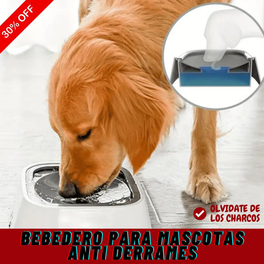 BEBEDERO PARA MASCOTAS ANTI DERRAMES 🐱🐶 + ENVÍO GRATIS 🚚